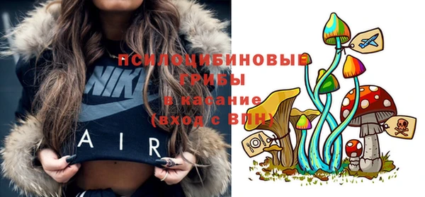 экстази Арсеньев