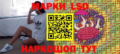 прущие грибы Донской