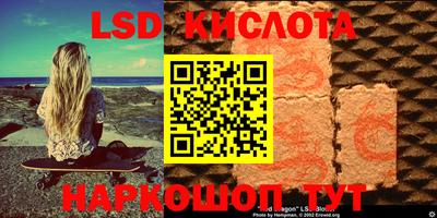 прущие грибы Донской