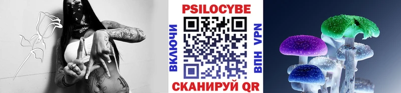 наркота  Ногинск  Псилоцибиновые грибы прущие грибы 