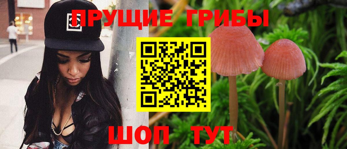 где продают   Псилоцибиновые грибы прущие грибы  Вход с VPN  Ногинск 