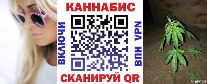 Каннабис OG Kush  Ногинск 