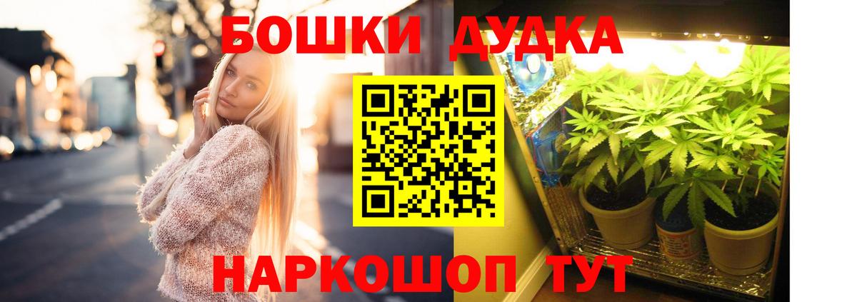 МАРИХУАНА White Widow  МАРИХУАНА план  Ногинск  Бошки Шишки гибрид  Вход с VPN 